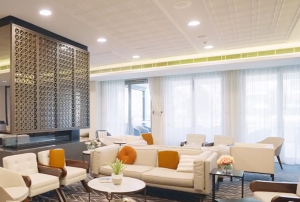 Levande’s Tech Transformation with Testpoint