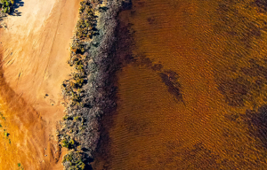 Barrenjoey’s enterprise scalable testing program