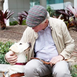 Guide Dogs NSW/ACT Salesforce CRM Implementation & Quality Assurance